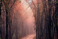 开云体育APP下载-水晶宫雷霆万钧斩落劲敌！保级之路豁然开朗