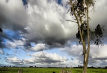 开云下载-烽火德甲夜：汉堡绝杀夺命三分，莱比锡绝境自焚记