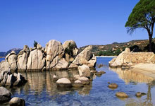 开云体育app-尼克斯鏖战掘金,麦科勒姆刷新纪录