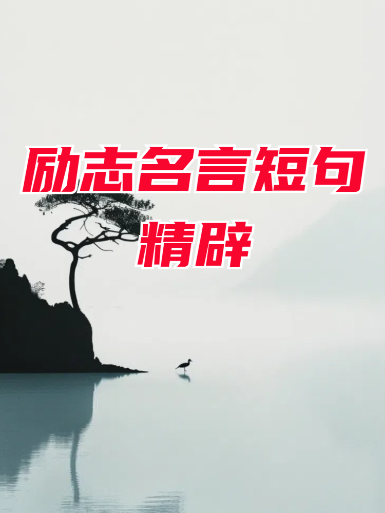 关于根特：信心满满，勇往直前追逐梦想的信息