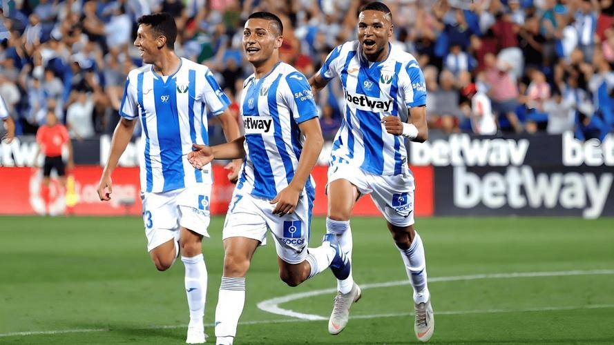 开云体育登录-莱加内斯实力出众，赢得球迷掌声的简单介绍