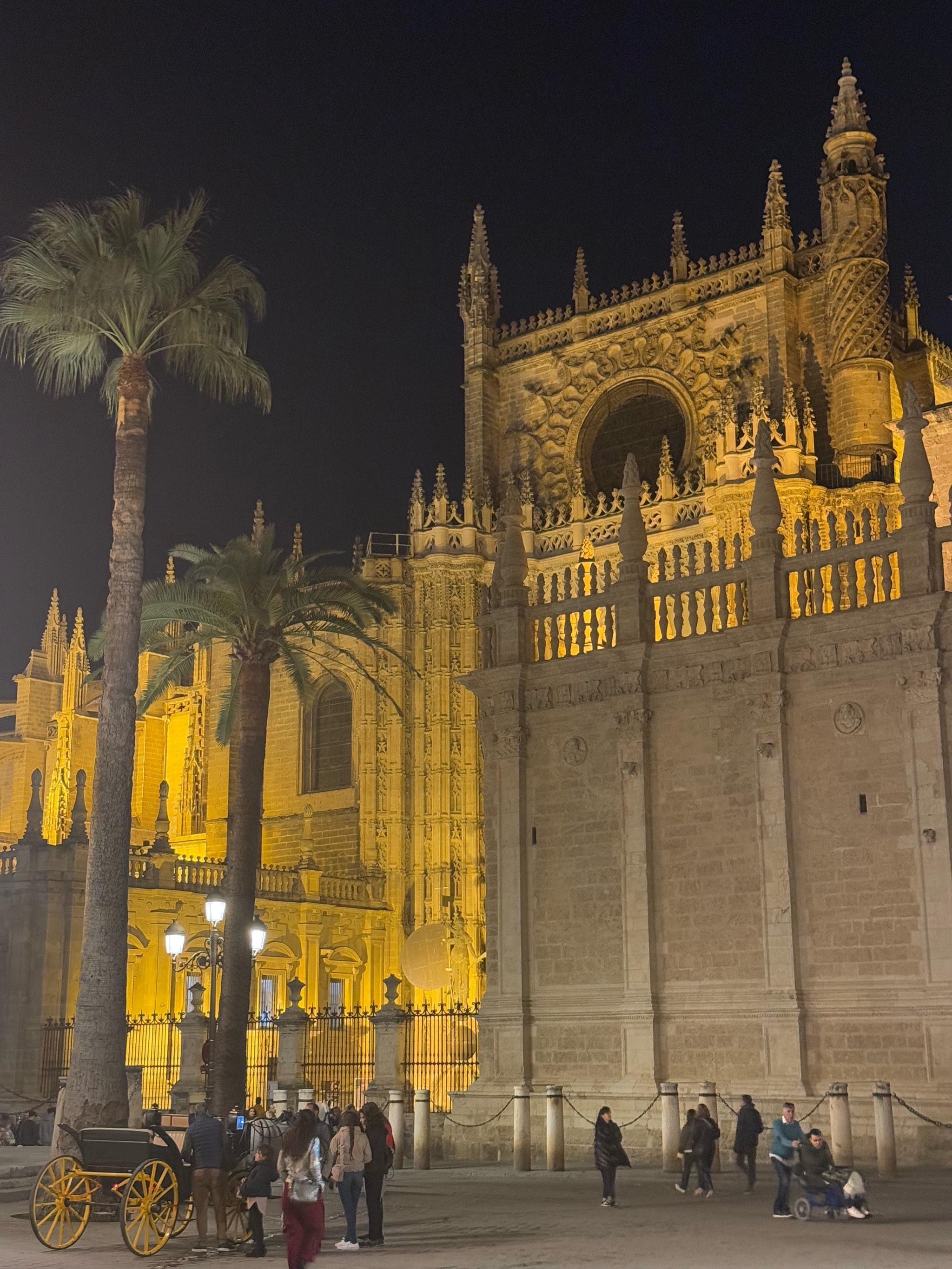 开云体育APP下载-萨拉戈萨主场大胜塞维利亚，提前确保保级成功的简单介绍