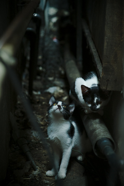 孔德今夜!临危救主与一锤定音,将争冠悬念定格在末轮