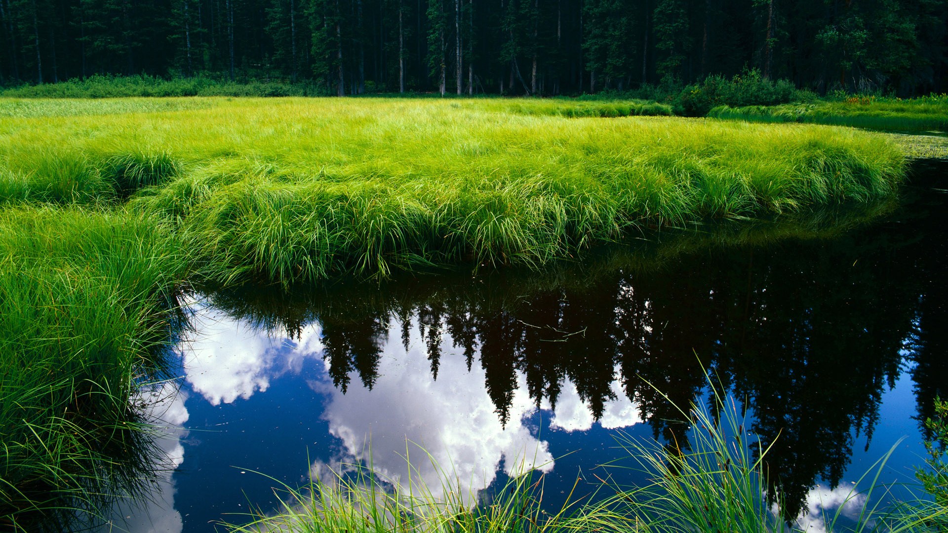 开云体育-钢铁门神，奥纳纳的封王之夜