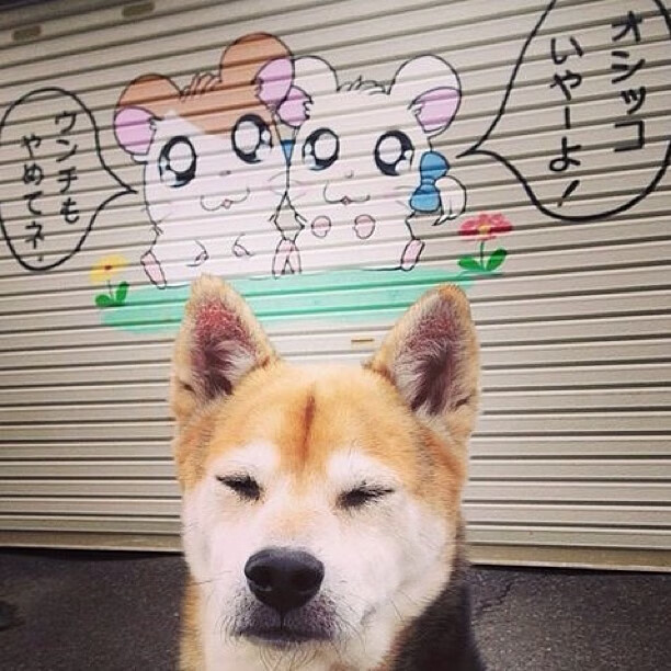 布雷默一锤定音！希腊力克苏格兰挺进争冠战