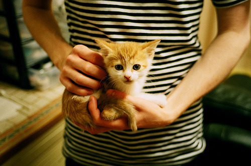 从孤狼到利刃，卡拉斯科在陶瓷球场的绝杀与自我证明