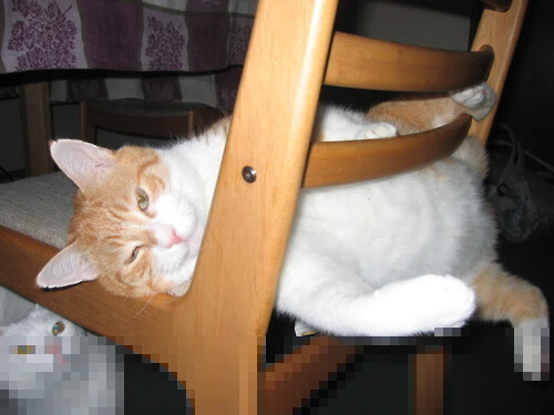 开云平台-加拿大对阵爱尔兰，当金玟哉的飞踢超越纪录，亚洲足球的黄金时代悄然来临