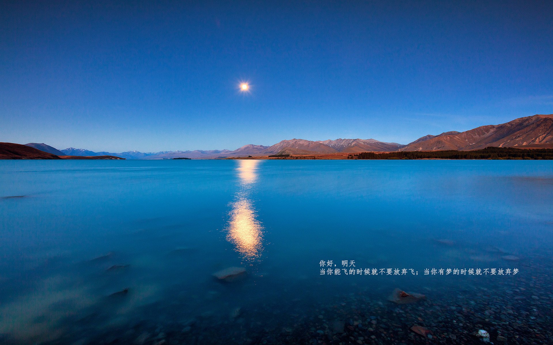 血脉狂想曲，当潘帕斯鹰笛吹响，红龙在泥泞中垂下头颅