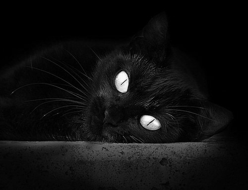 拉梅洛爆发砍40+三双，老鹰末节狂飙带走森林狼